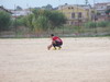 thumb_100_0259.jpg
